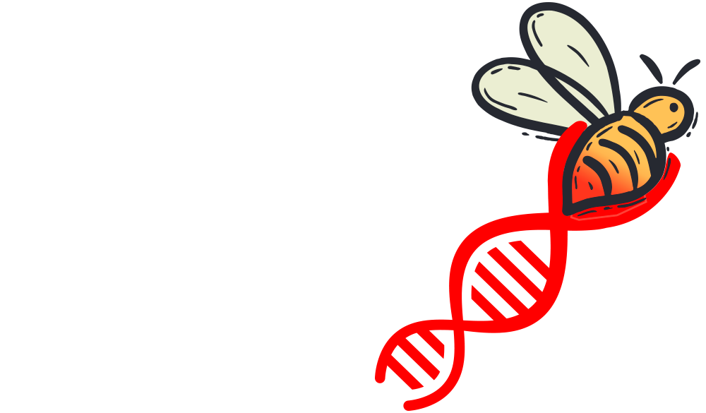 Nicht hinter unserem Rücken: Kein Freifahrtschein für neue Gentechnik in unserem Essen!